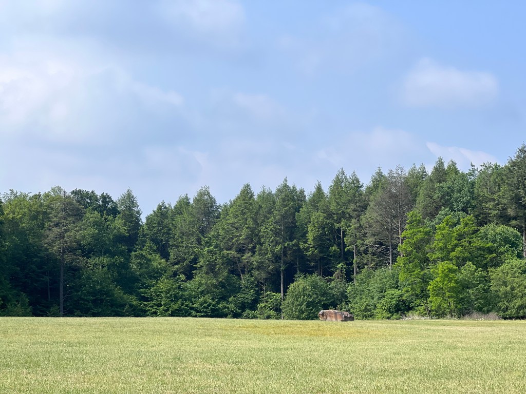 A sandstone boulder sits in a distant field near a grove of trees. 