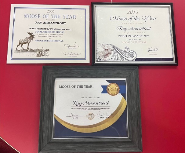 Three framed "Moose of the Year" awards are shown.