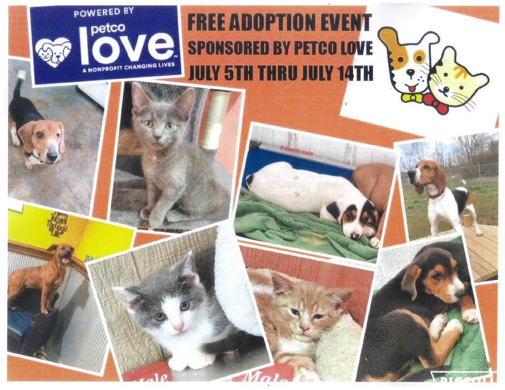 A flyer is filled with pictures of cats and dogs from the Mason County Animal Shelter. 